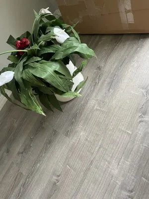 Insta Movers